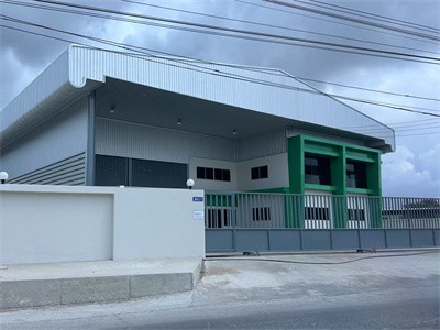 Leathnú branda thar lear